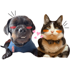 [LINEスタンプ] 婆猫と子犬