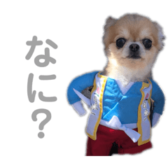 [LINEスタンプ] うちのちーたん