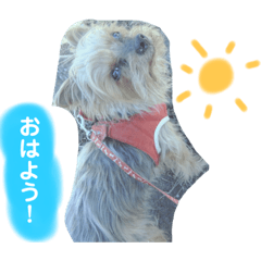 [LINEスタンプ] 佐藤家40個スタンプ