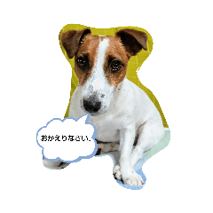 [LINEスタンプ] アリー·ジャック