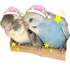 [LINEスタンプ] めいちゃんandキキちゃん2