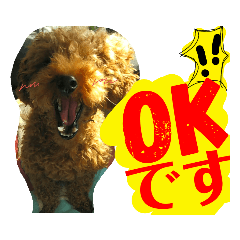 [LINEスタンプ] トイプーすたんぷ第2弾