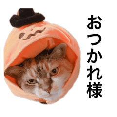 [LINEスタンプ] ぎんさんと、リリーさん