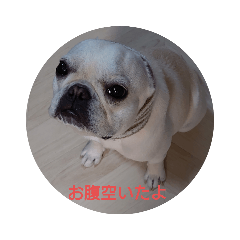 [LINEスタンプ] よもぎシリーズ①
