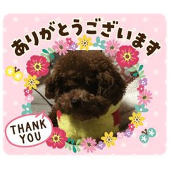 [LINEスタンプ] かわいい動物のスタンプぅ