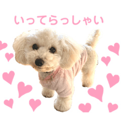 [LINEスタンプ] 毎日みるくちゃん