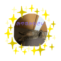 [LINEスタンプ] ちょこ、ここあ、あんこ