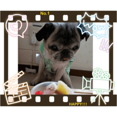 [LINEスタンプ] 犬 パグ