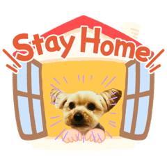 [LINEスタンプ] 個人用愛犬スタンプ