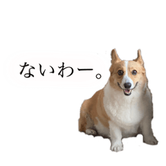[LINEスタンプ] 山田のコーギー2