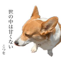 [LINEスタンプ] こつぶのーぶーぶー再び➁