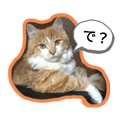 [LINEスタンプ] わたちゃん(日々のことば)