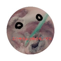 [LINEスタンプ] 使い所がたくさん！Oh my b！