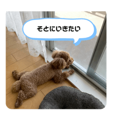 [LINEスタンプ] roa1