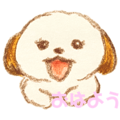 [LINEスタンプ] シーズーのもふたん