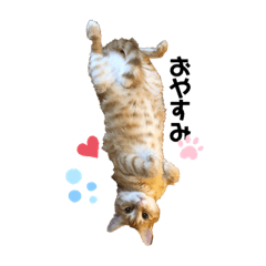 [LINEスタンプ] みつ軍団がご挨拶