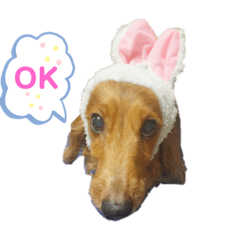 [LINEスタンプ] U・x・Uスタンプ