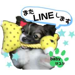 [LINEスタンプ] サスケまつりれもん日常ひとことスタンプ③