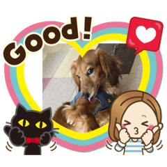 [LINEスタンプ] ワンコの気分 202005