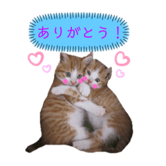 [LINEスタンプ] うめくりユ二一クスタンプ