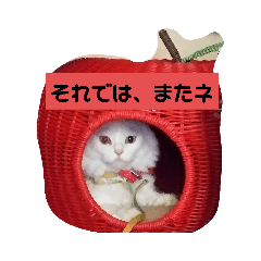 [LINEスタンプ] ネコ スタンプ④