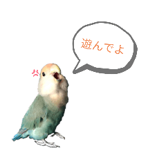 [LINEスタンプ] コザクラインコの生活