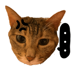 [LINEスタンプ] 猫のみゆちゃんスタンプ1の画像（メイン）