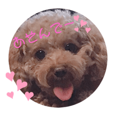 [LINEスタンプ] ツンデレぷりんちゃん♡
