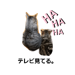 [LINEスタンプ] 猫様のつぶやき