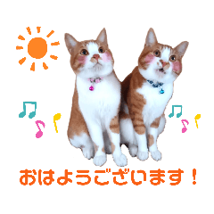 [LINEスタンプ] うめにゃん☆くりにゃん