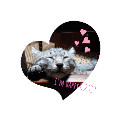 [LINEスタンプ] あんず SECOND