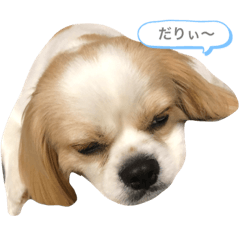 [LINEスタンプ] にこちっ