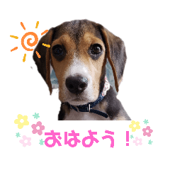 [LINEスタンプ] レイ_スタンプ