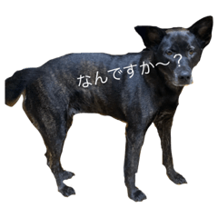 [LINEスタンプ] ニコさんの1991