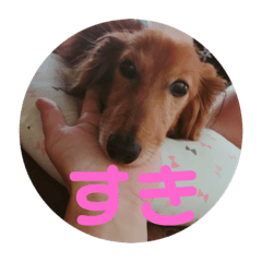 [LINEスタンプ] くぅちゃん stanppp.
