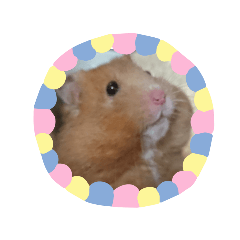 [LINEスタンプ] はむはむらんど2