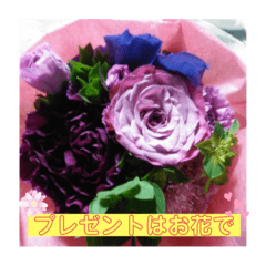 [LINEスタンプ] お花好きな人へ(*´˘`*)♡