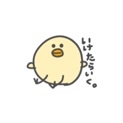 [LINEスタンプ] ひよまるさん。