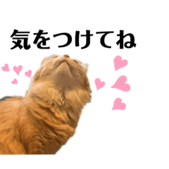 [LINEスタンプ] チャッピーと生活II