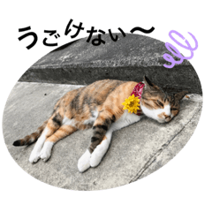 [LINEスタンプ] リロ⁂