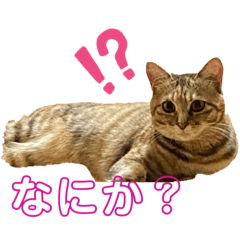 [LINEスタンプ] ねるのいちにち。