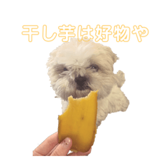 [LINEスタンプ] もこもこなかわいこちゃんたち