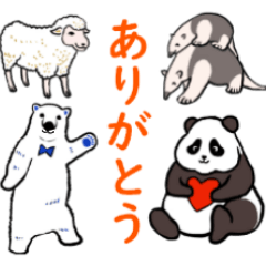 [LINEスタンプ] パンダ、白熊、コアリクイ、羊のスタンプの画像（メイン）
