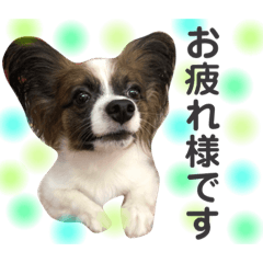 [LINEスタンプ] 大好きレンくん