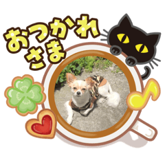 [LINEスタンプ] かいあず