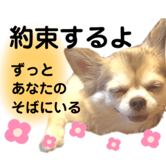 [LINEスタンプ] 愛しのみゆちゃん①