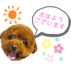 [LINEスタンプ] サリー敬語ver.