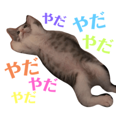 [LINEスタンプ] 陽気なLEA☀︎