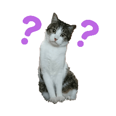[LINEスタンプ] はな丸にゃんこ2