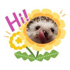 [LINEスタンプ] maron greeting